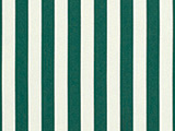 Sunbrella Mason Forest Green (5630-0000)